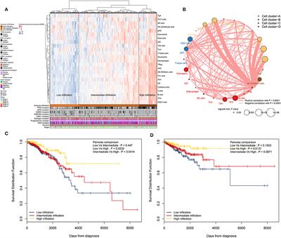 Immune Landscape of Invasive Ductal Carcinoma Tumor Microenvironment Identifies a Prognostic and Immunotherapeutically Relevant Gene Signature